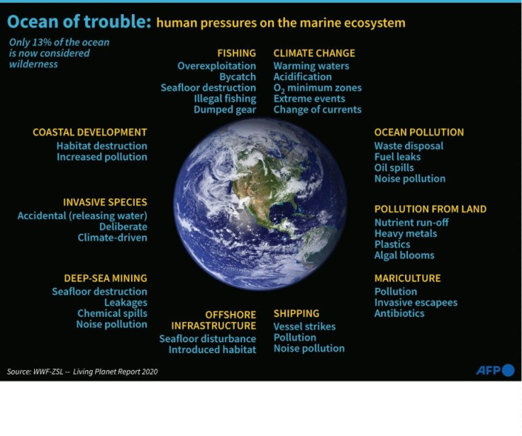 Graphic outlining the environmental degredation of the oceans caused by human activity.