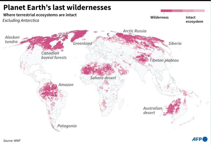 World map highlighting areas where terrestrial ecosystems remain intact.