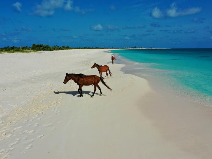 Princess Diana Beach Antigua and Barbuda