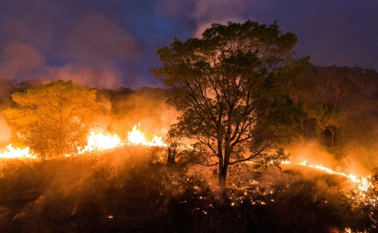 Fire raging in the Pantanal wetlands, Mato Grosso State, Brazil, on August 28, 2020, in a handout image picture released by Projeto SolosFires raging in the Pantanal, the biggest tropical wetlands on Earth, are threatening a nature reserve known as the