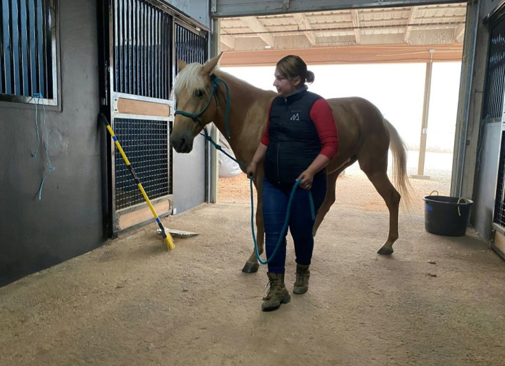 Sarah Anderson and her warm springs mustang Ezzy found shelter from the fires at the Mount Hood Center in Boring, Oregon