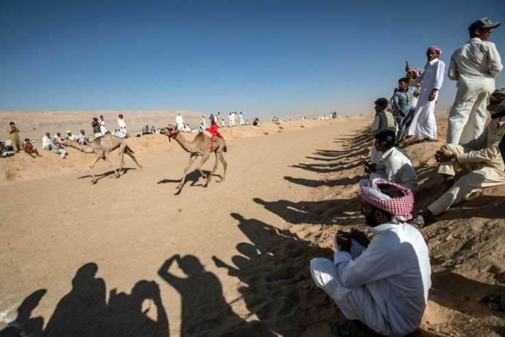 Bedouins watch a camel race in Egypt's South Sinai desert