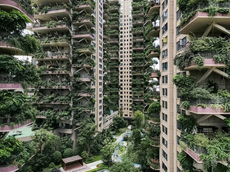 With hardly any residents to care for them, the plants at Chengdu's Qiyi City Forest Garden have overrun the towers