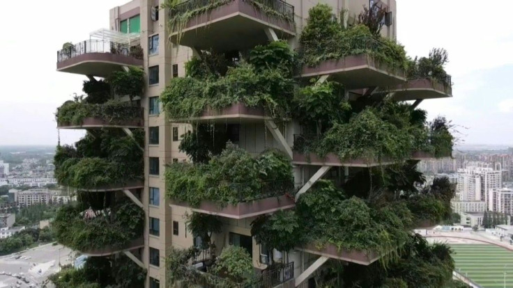 An experimental green housing project in China's southwestern Chengdu city has been overrun by its own plants, with state media reporting that only a handful of buyers have moved in.