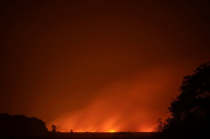 The main cause of the fires in the Pantanal is drought