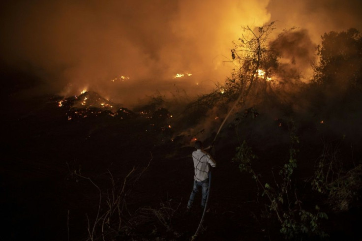 A volunteer battles a blaze in a bid to protect a wooden bridge -- one of 119 bridges on the "Transpantaneira," the dirt highway across the Pantanal
