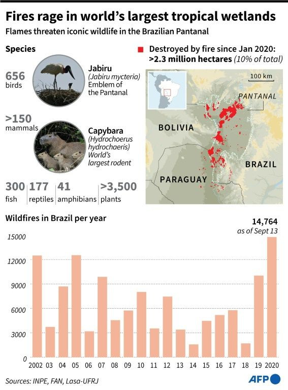 Factfile on the Brazilian Pantanal, with map of areas destroyed by wildfires since January 2020