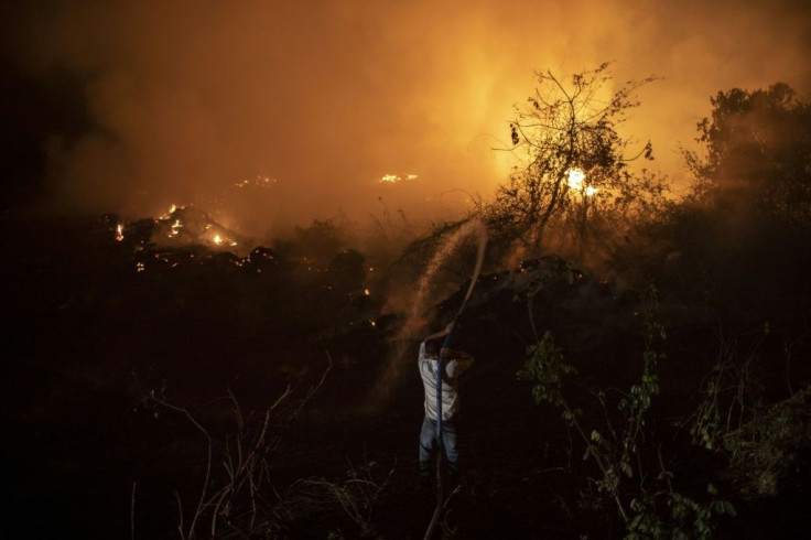 Brazil's Pantanal -- the world's biggest tropical wetlands -- is suffering its worst fires in more than 47 years