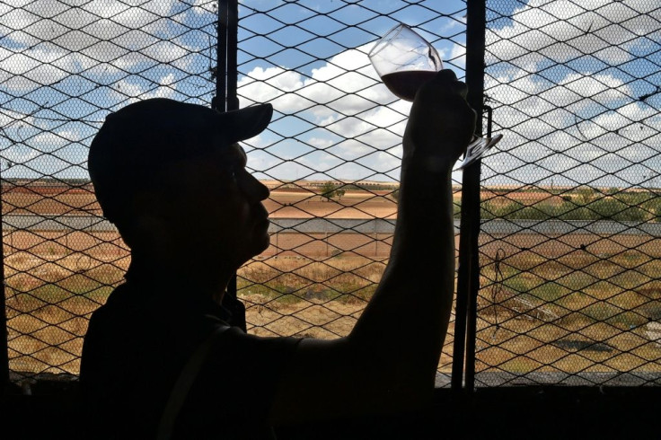 An employee inspects a glass of red wine at a winery in the Sidi Bel Abbes highlands, some 435 kilometres (270 miles) southwest of Algiers