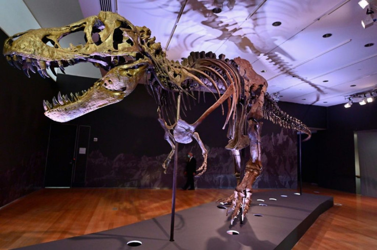 The remains of a Tyrannosaurus rex named Stan