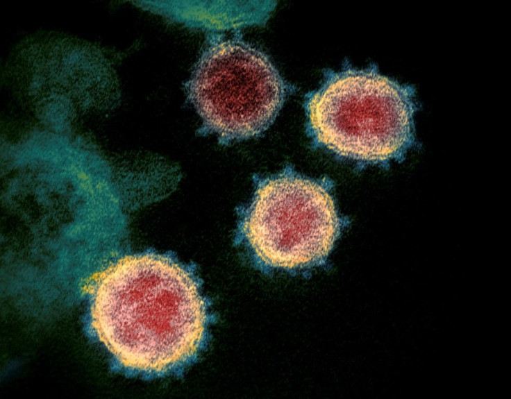 South Africa has been particularly hard-hit by the coronavirus pandemic, with around half the total number of cases detected on the continent