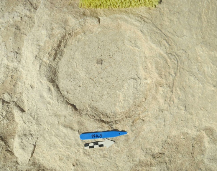 This undated handout photo obtained September 16, 2020 shows a fossilized elephant footprint in Saudi Arabia's Nefud desert
