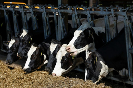The US Department of Agriculture has rolled out a second round of coronavirus aid to compensate farmers and ranchers for lost crop, dairy and egg production