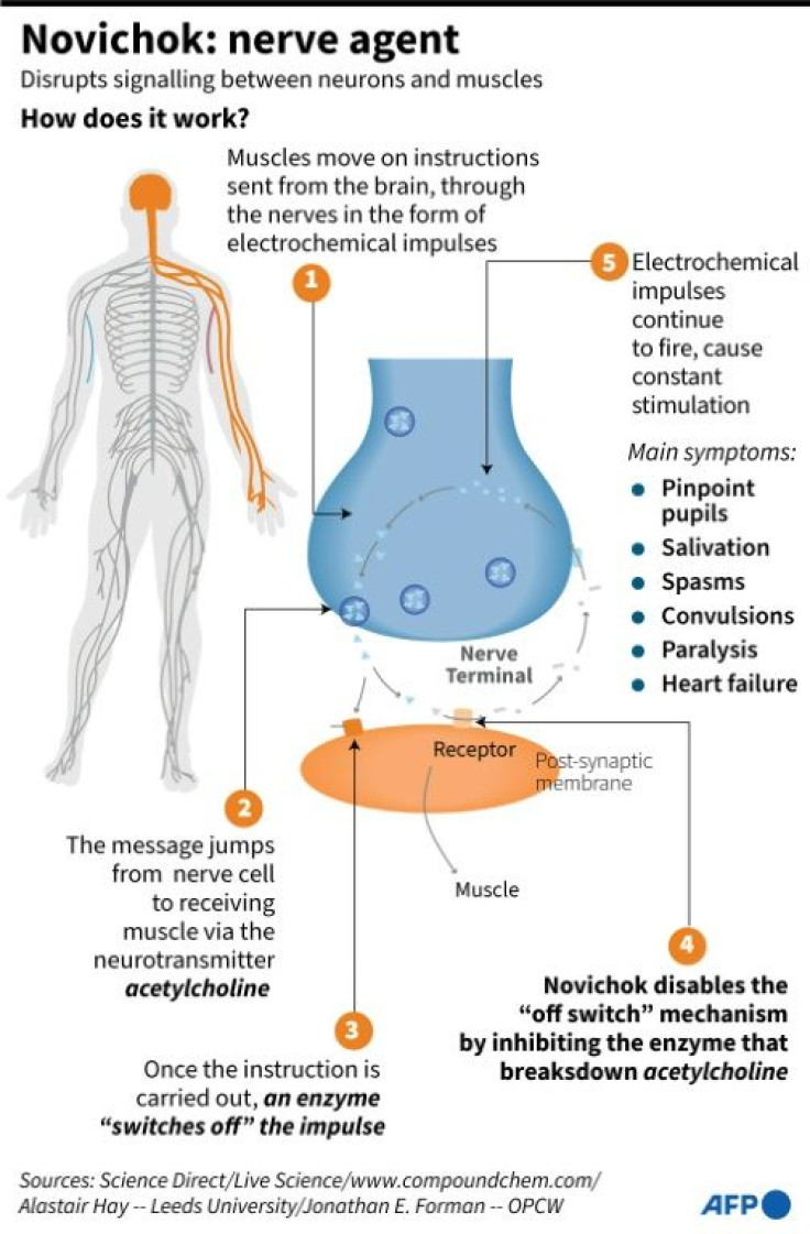 Factfile on how Novichok and other nerve agents work to disrupt messaging between neurons and muscles