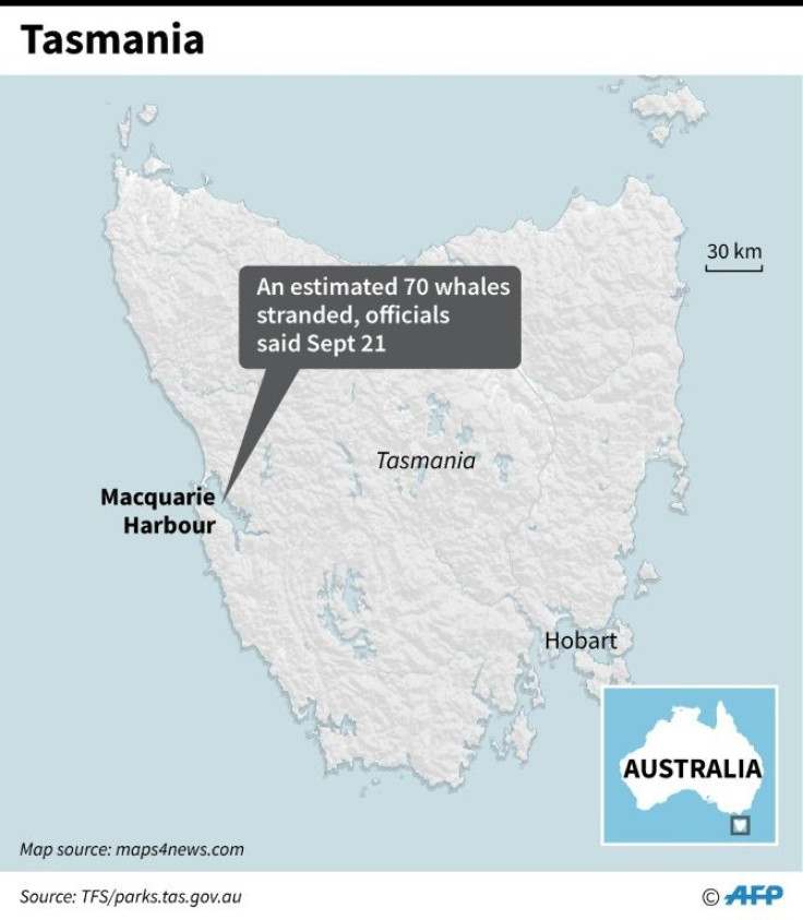 Map showing Macquarie Harbour on the Australian island of Tasmania, where an estimated 70 whales have become stranded