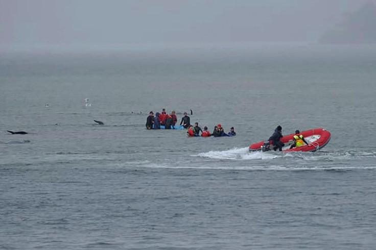 A 'challenging' rescue has started in southern Australia to rescue 180 stranded whales