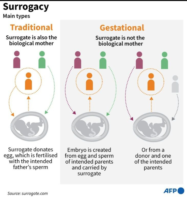 Graphic explaining two main forms of surrogate pregnancy.