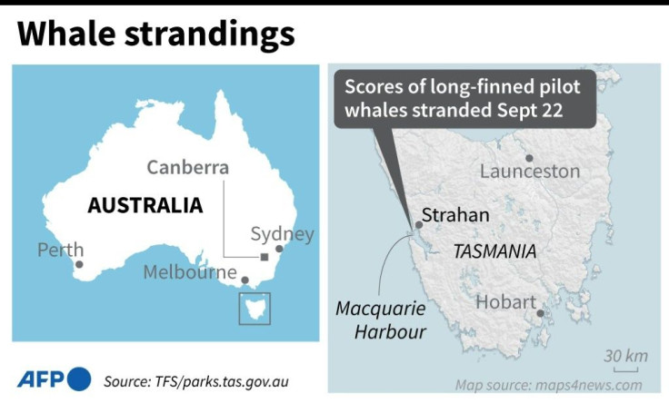 Map showing Macquarie Harbour on the Australian island of Tasmania, where hundreds of long-finned pilot whales have become stranded.