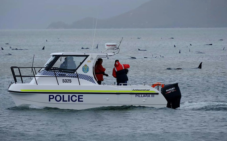 Rescuers in Australia are racing against the clock to try and save around 180 stranded whales