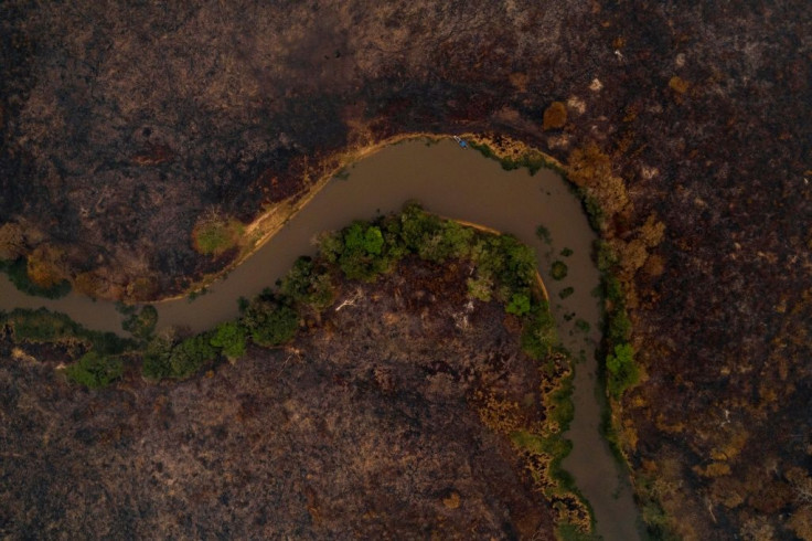 Aerial view of a burnt area of the Pantanal, the world's largest tropical wetland, in Mato Grosso State, Brazil. The Pantanal, famed for its wildlife, is suffering its worst wildfires in more than 47 years