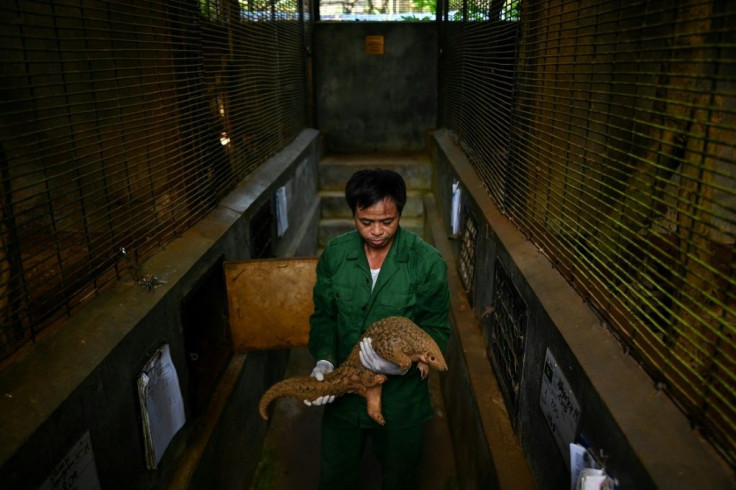 Earlier this year, China removed pangolin parts from its official list of traditional medicines and there are some encouraging signs in Vietnam too