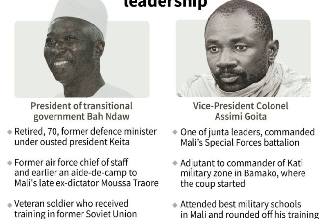 Mali's interim leaders