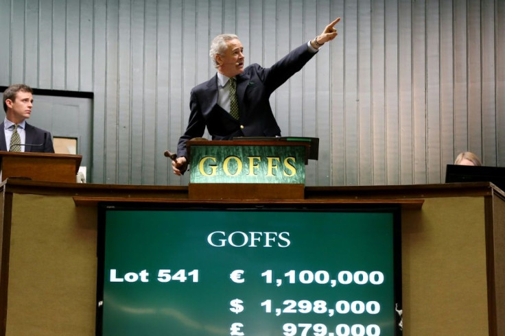 Goffs is Irelandâs leading bloodstock auction house