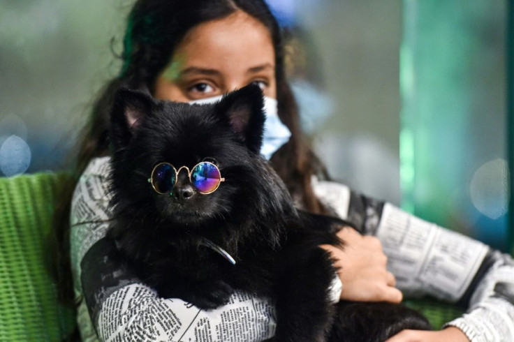A new cafe in Saudi Arabia allowing dogs has opened, a sign of changing times in the kingdom
