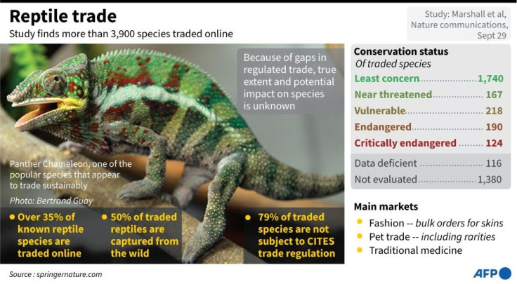 Graphic on the findings of a study on the traffic in endangered reptiles.