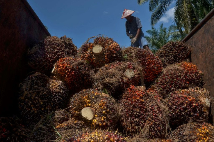 Palm oil is a common ingredient in items ranging from processed foods to cosmetics, and Malaysia is the second-biggest producer of the commodity