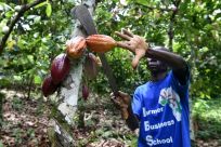 Ivory Coast is the world's biggest producer of cocoa beans, but poverty among farmers is widespread