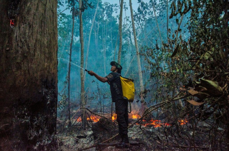 A member of an Indigenous group fights a forest fire in Brazil, which has seen an increase in wildfires over last year