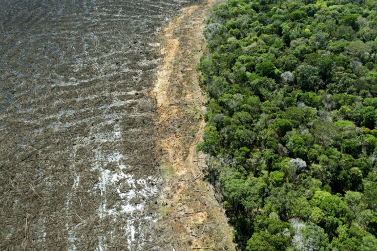 An aerial view of a deforested area close to Sinop, in Brazil's Mato Grosso State in August 2020