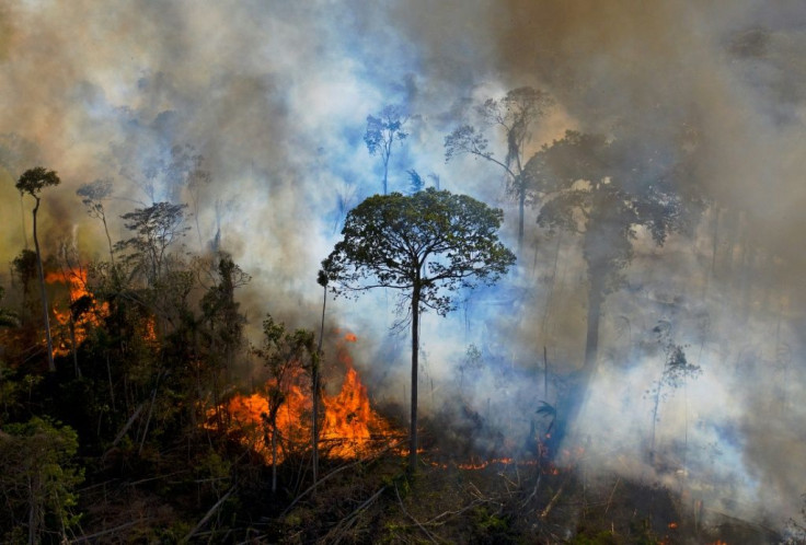 Smoke rises from an illegally lit fire in the Amazon rainforest south of Novo Progresso in Brazil's Para State, in August 2020
