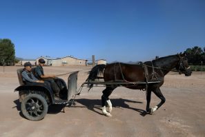 The Mennonites have traditionally shunned television, electricity and cars, preferring horse-drawn carts with wooden wheels, but some now use tires