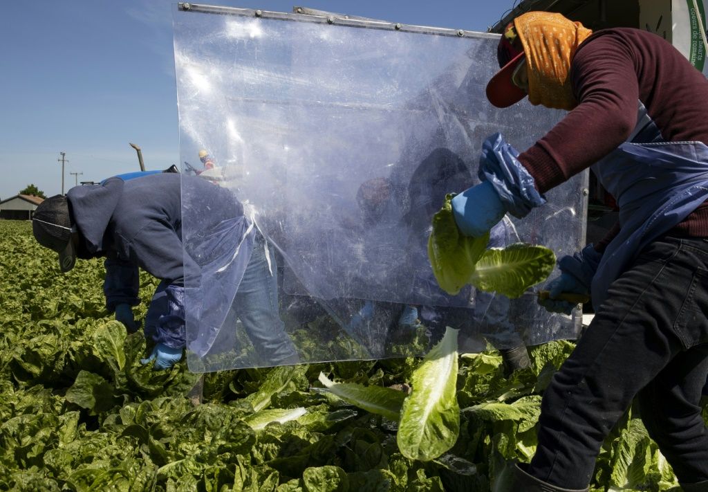 Lettuce Recall Over 1,100 Walmart Stores Sold Recalled Romaine IBTimes