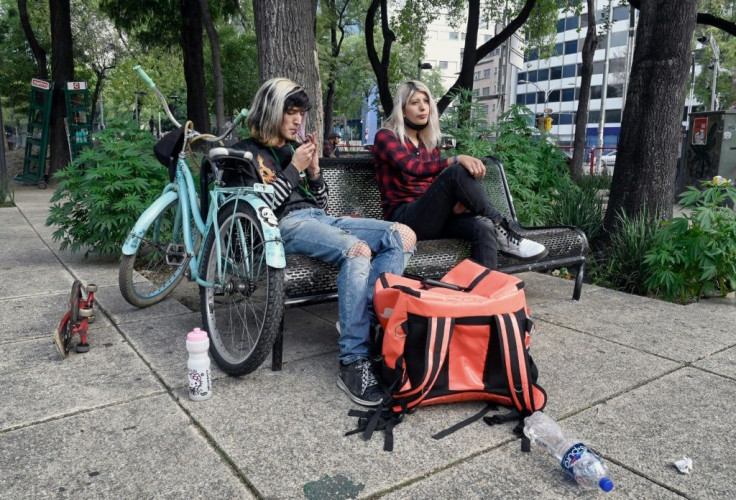 Around 20 young Mexicans lovingly tend the cannabis garden right outside the country's Senate