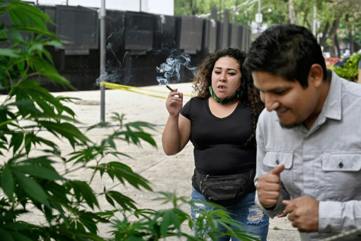 Activists see the garden as a bastion of freedomÂ