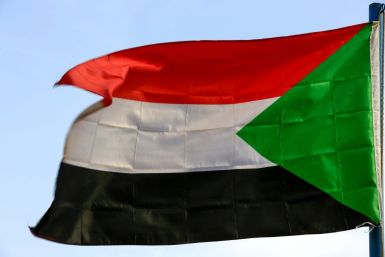 Sudan suffered multiple civil conflicts, including Darfur and the war that led to the south's secession