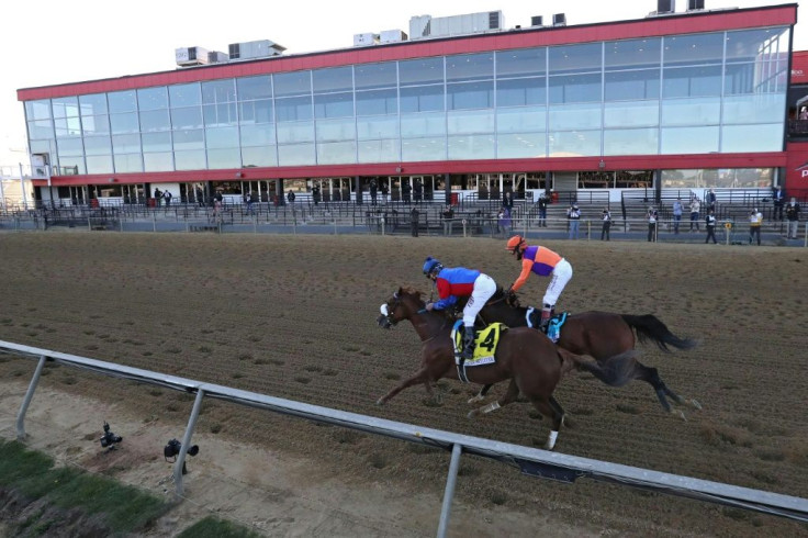 Swiss Skydiver, ridden by jockey Robby Albarado beats Authentic (John Velazquez) to win the 145th Preakness Stakes