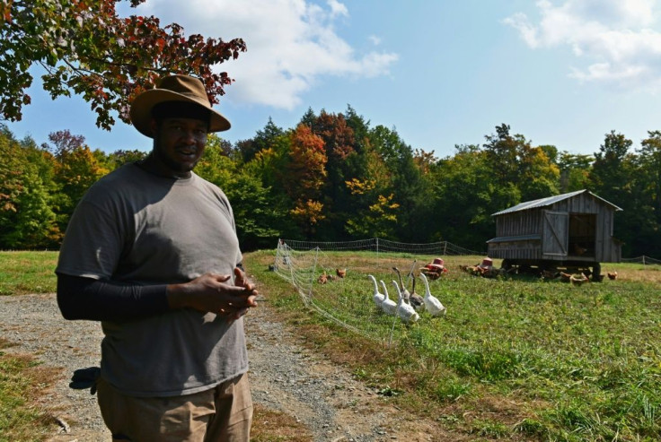 Justin Butts, livestock manager at Soul Fire Farm, checks on the animals in his charge