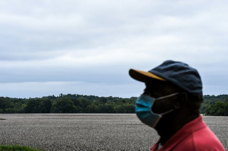 Roosevelt Cruel stands by a cotton farm near his home in Fayette, Mississippi