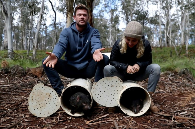 Actors Chris Hemsworth (L) and Elsa Pataky helped release the animals at a sanctuary in New South Wales