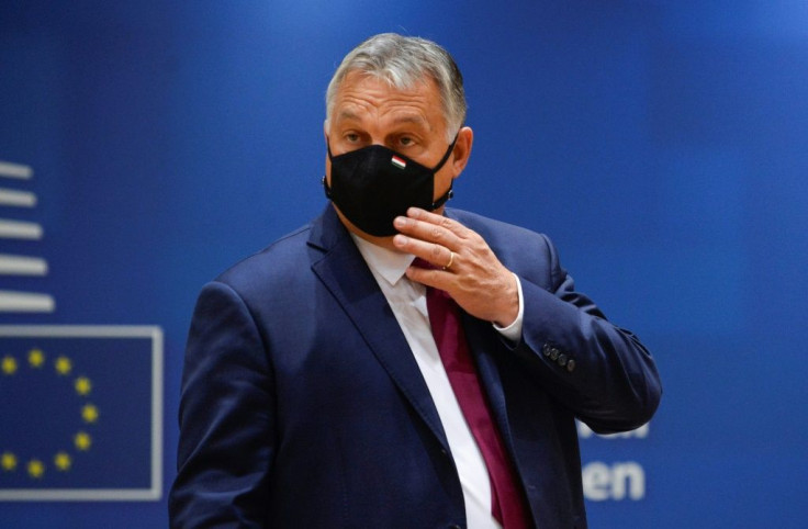 The university's rector described the ruling as a 'complete repudiation of Viktor Orban's legal strategy'