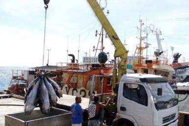 The world's top tuna fishing nations are Indonesia, which landed more than 550,000 tonnes in 2018, followed by Japan, Papua New Guinea, Taiwan, Spain, Ecuador and South Korea