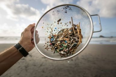 A volunteer of the NGO 'Canarias Libre de Plasticos' (Canary Islands free of plastics) carries out a collection of microplastics and mesoplastic debris to clean the Almaciga Beach, on the north coast of the Canary Island of Tenerife, on July 14, 2018.