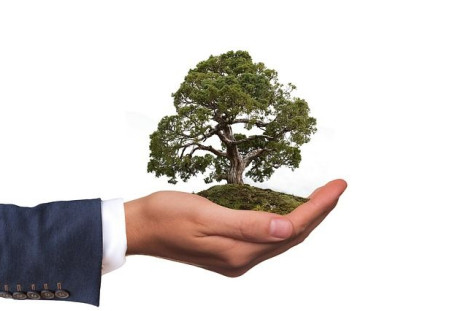 tree hand eco-friendly