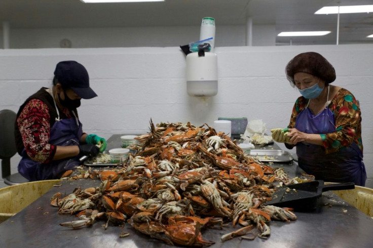 Bay Hundred Seafood is staffed by workers bussed in from a distant Washington suburb