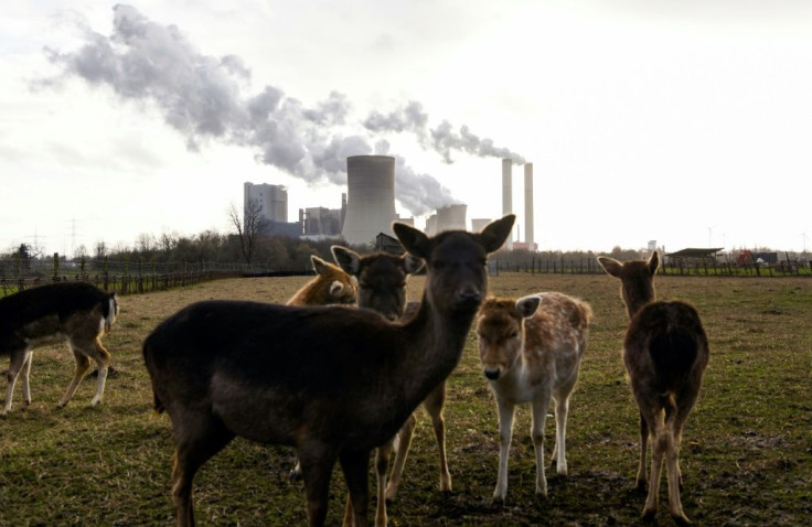 The study found that emissions from the power sector fell 22 percent during the first six months of 2020