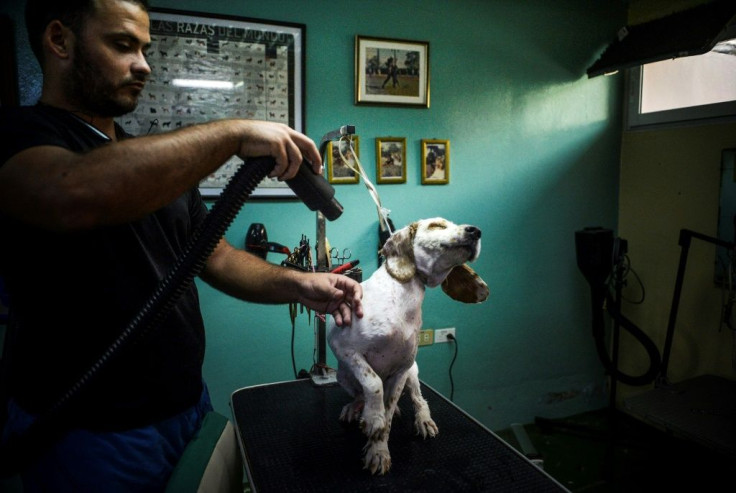 The Don Silver pooch pampering salon in the Santa Fe neighborhood of Havana